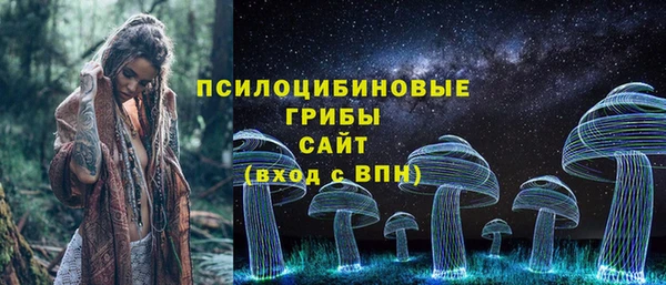 ПСИЛОЦИБИНОВЫЕ ГРИБЫ Тавда