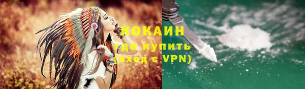 ПСИЛОЦИБИНОВЫЕ ГРИБЫ Тавда