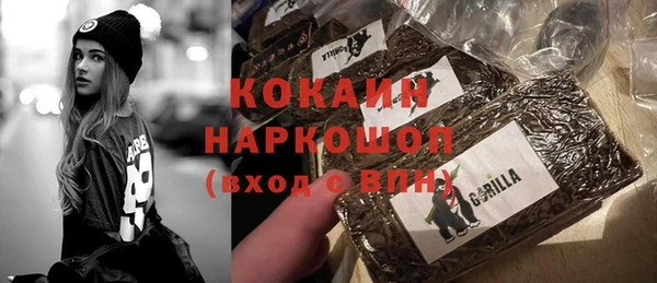 ПСИЛОЦИБИНОВЫЕ ГРИБЫ Тавда