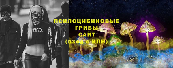ПСИЛОЦИБИНОВЫЕ ГРИБЫ Тавда