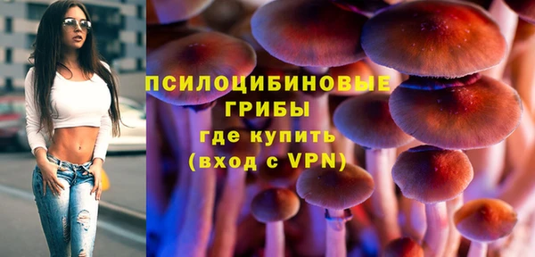 ПСИЛОЦИБИНОВЫЕ ГРИБЫ Тавда
