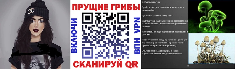 Псилоцибиновые грибы GOLDEN TEACHER Галич